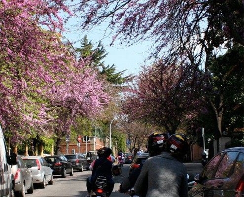 Veicoli - Tour di Roma in Vespa di coppia 3